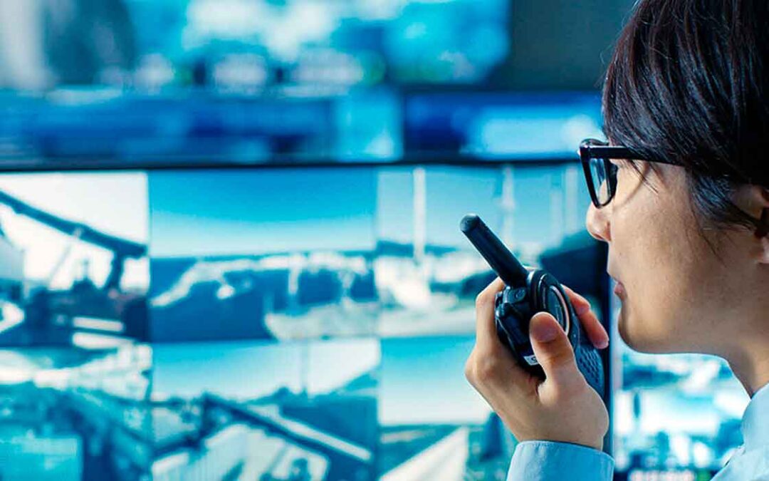 VIDEO VIGILANCIA Y SEGURIDAD